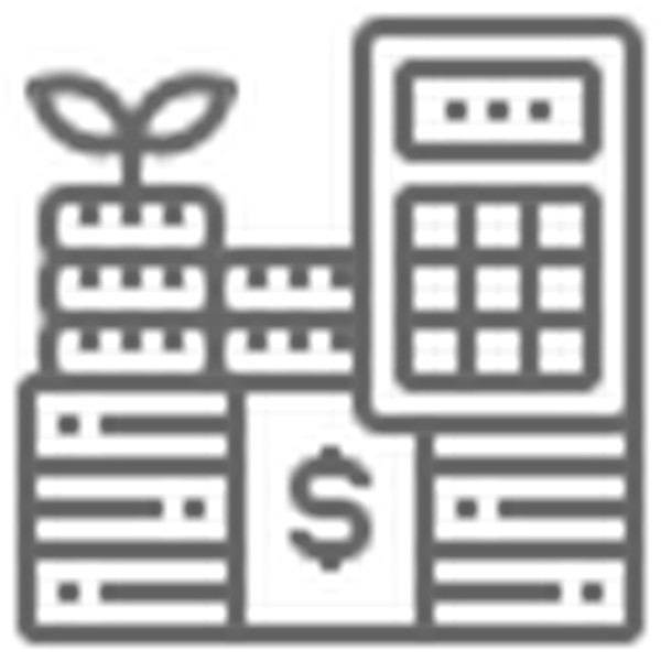 Pricing & Budget
