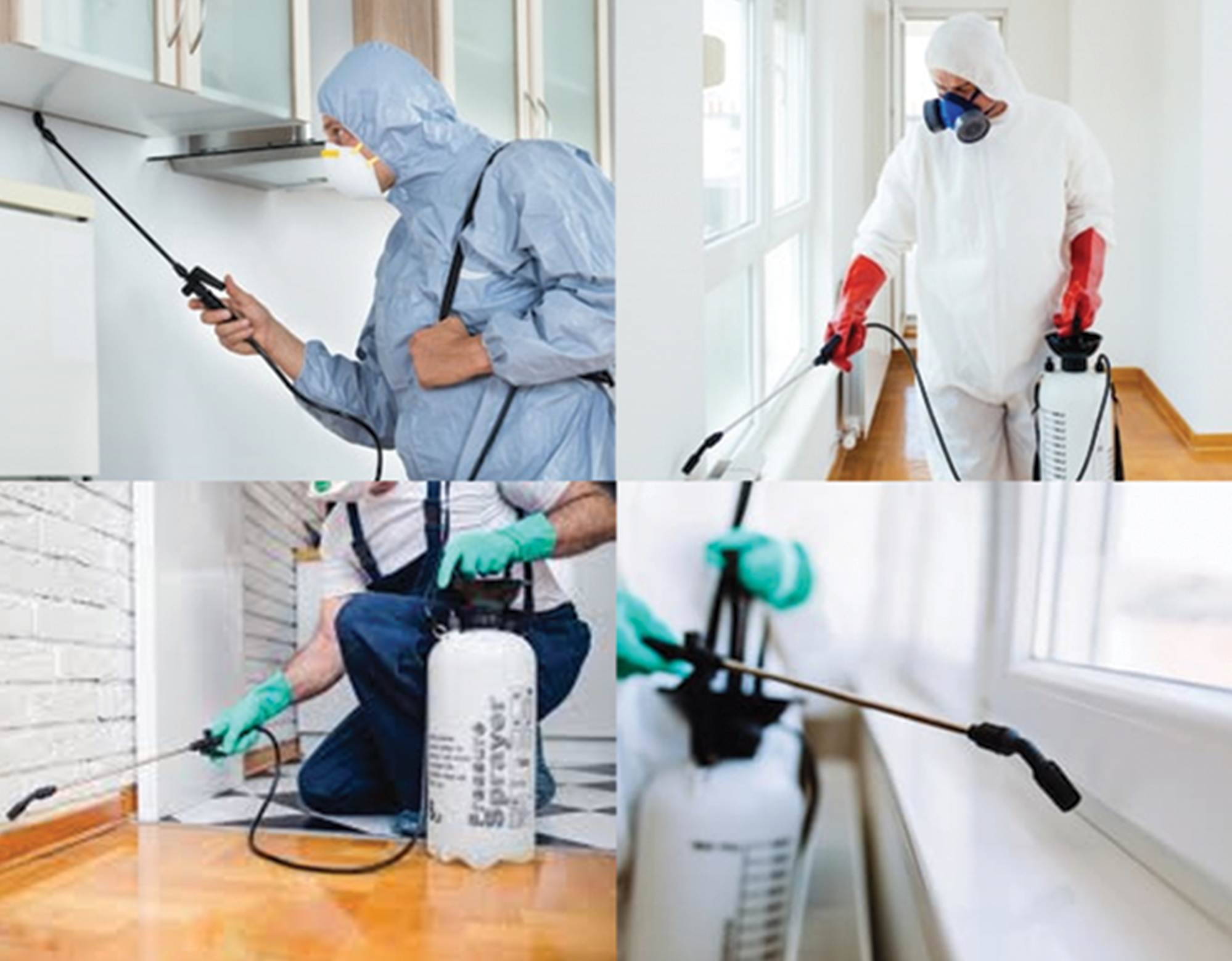 Fumigation